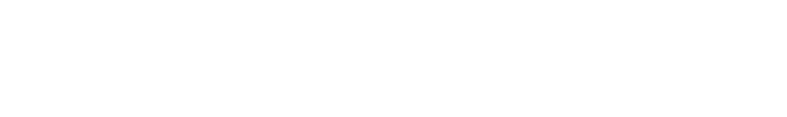 fast-logo