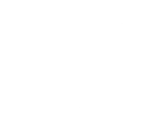 icon-1