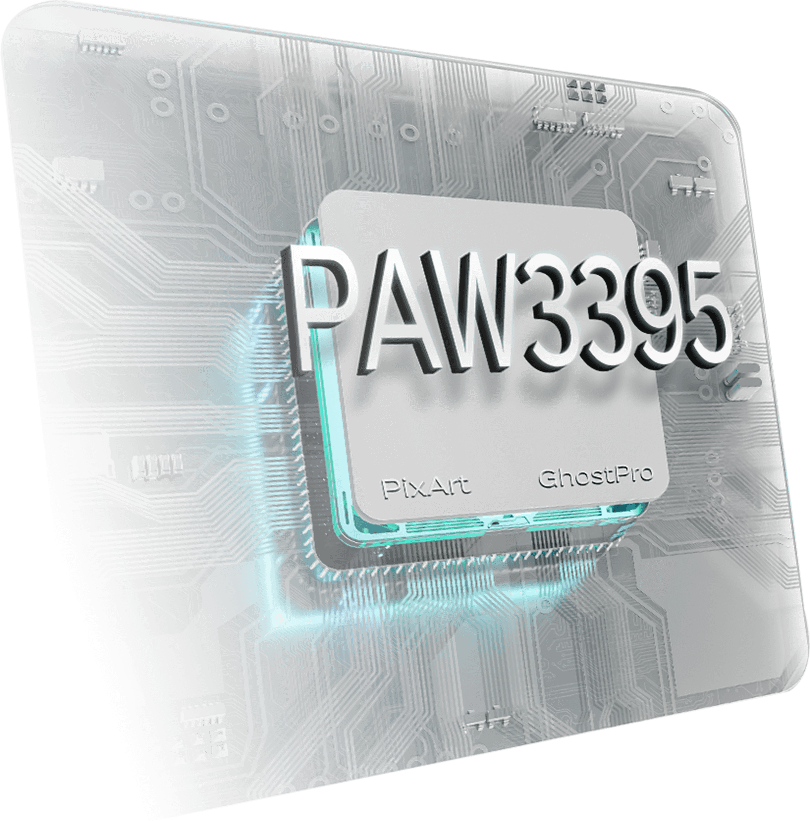 paw3395-img